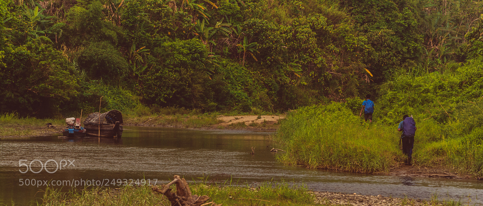 Nikon D7100 sample photo. Into the deep photography