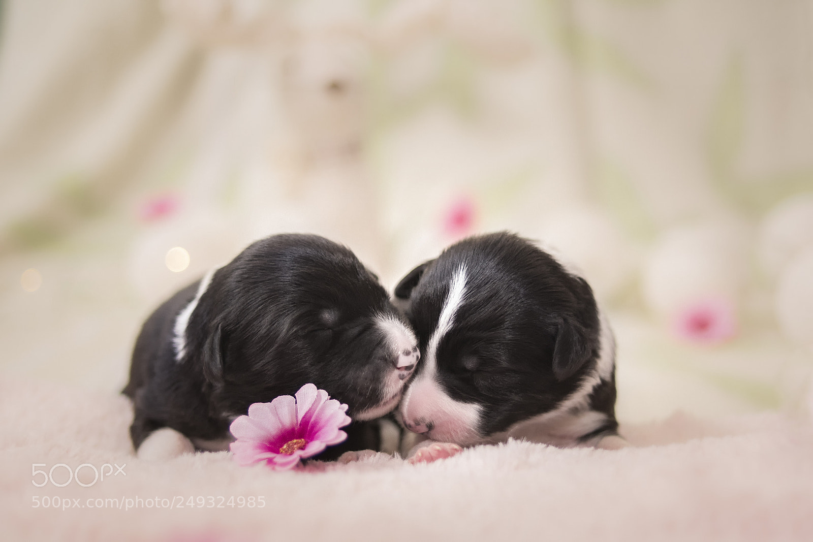 Nikon D500 sample photo. Friends since young age photography