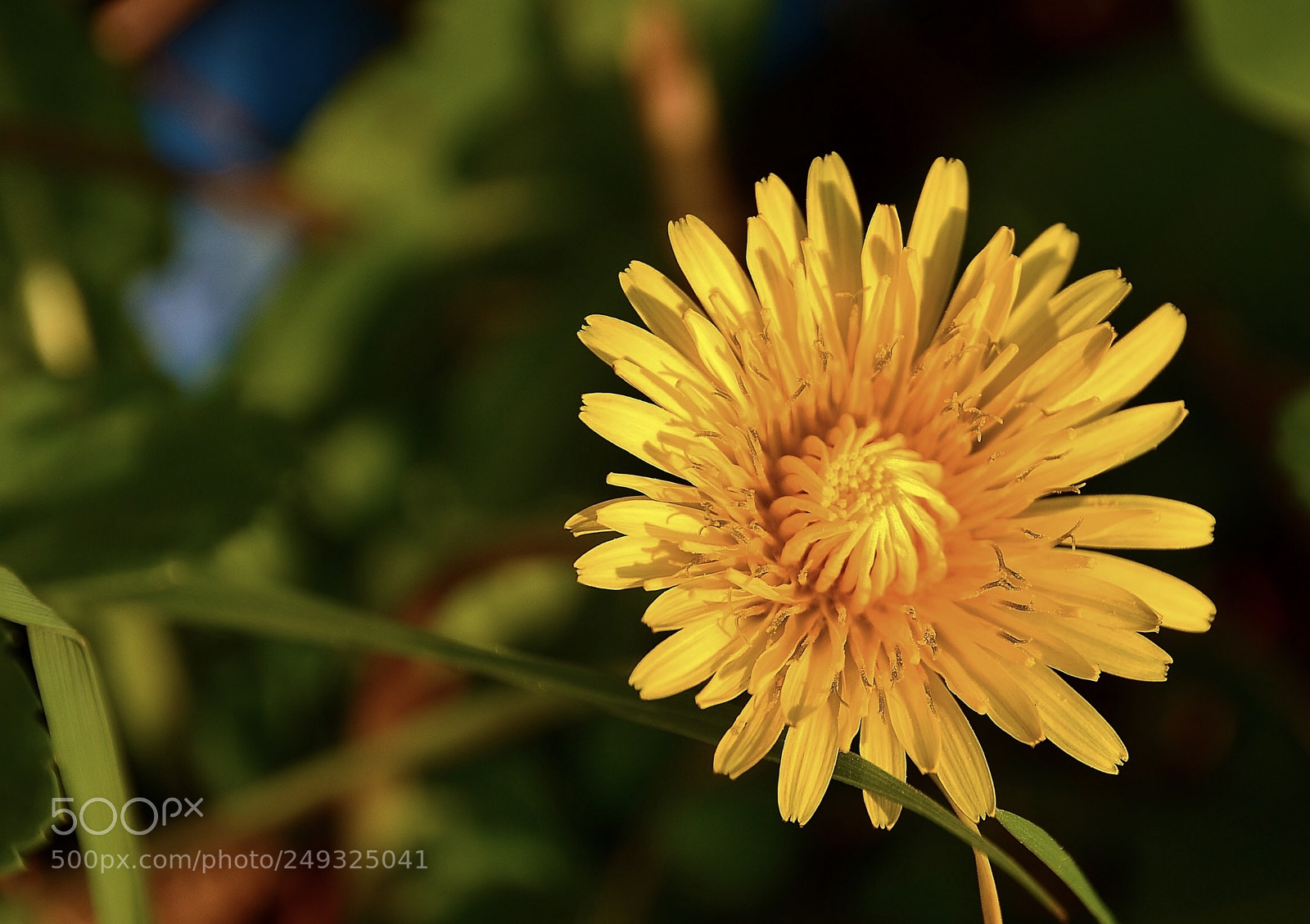 Nikon D7000 sample photo. Cnr -svg photography