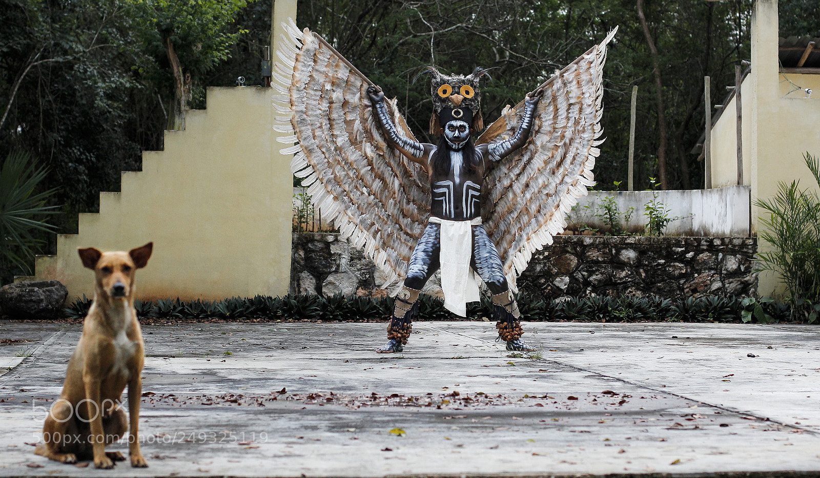 Canon EOS 60D sample photo. As smart object photography