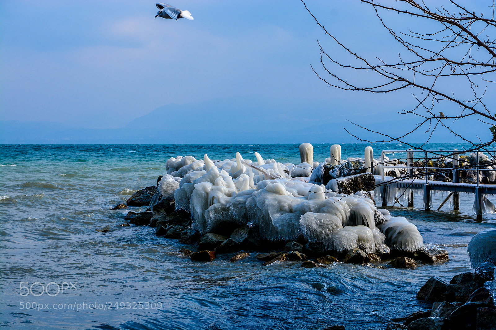 Nikon D7100 sample photo. Frozen ... photography