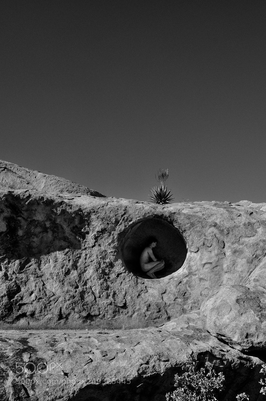 Nikon D90 sample photo. Untitled photography