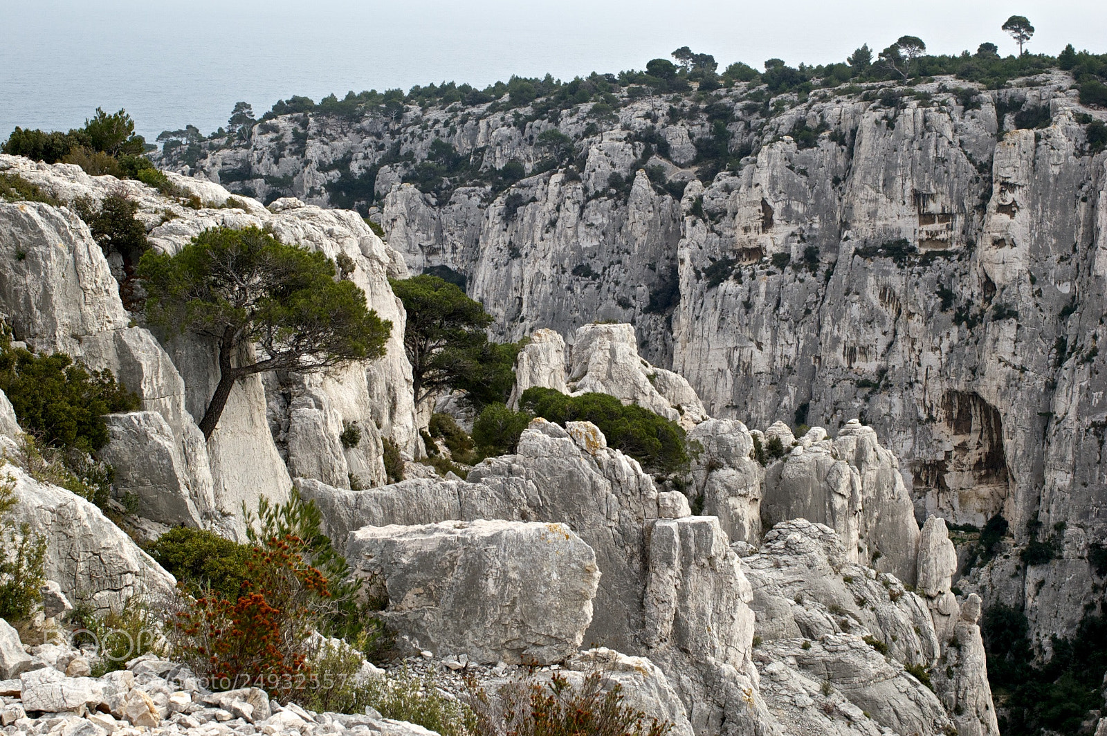Nikon D50 sample photo. France, côte d'azure photography
