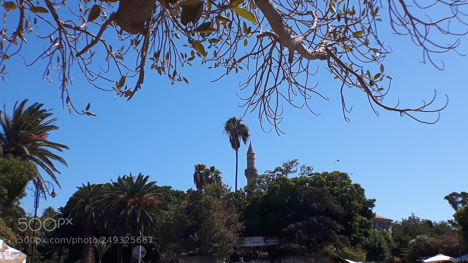 Samsung Galaxy S5 Neo sample photo. 20170902_120007.jpg photography