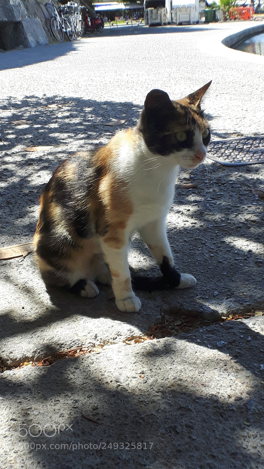 Samsung Galaxy S5 Neo sample photo. 20170902_120357.jpg photography