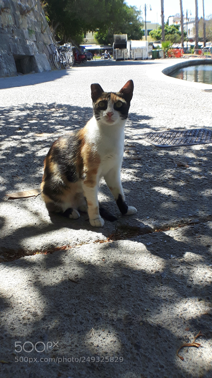 Samsung Galaxy S5 Neo sample photo. 20170902_120410.jpg photography