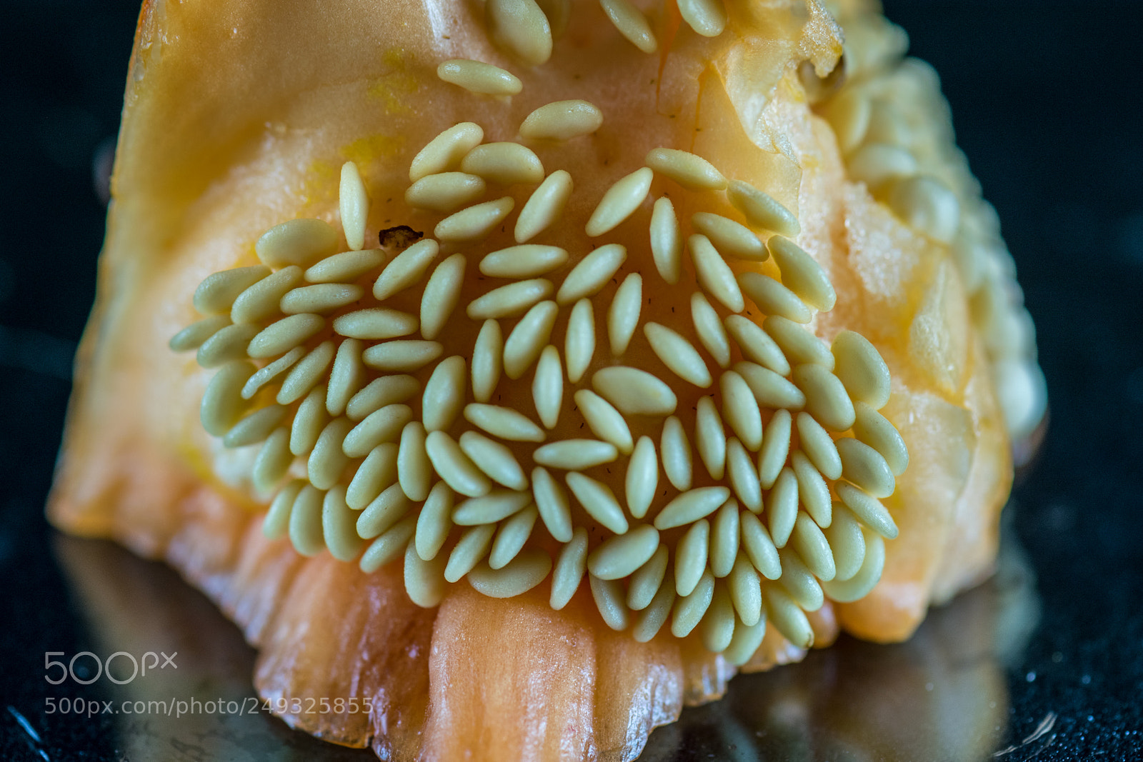 Nikon D5300 sample photo. Going to seed photography