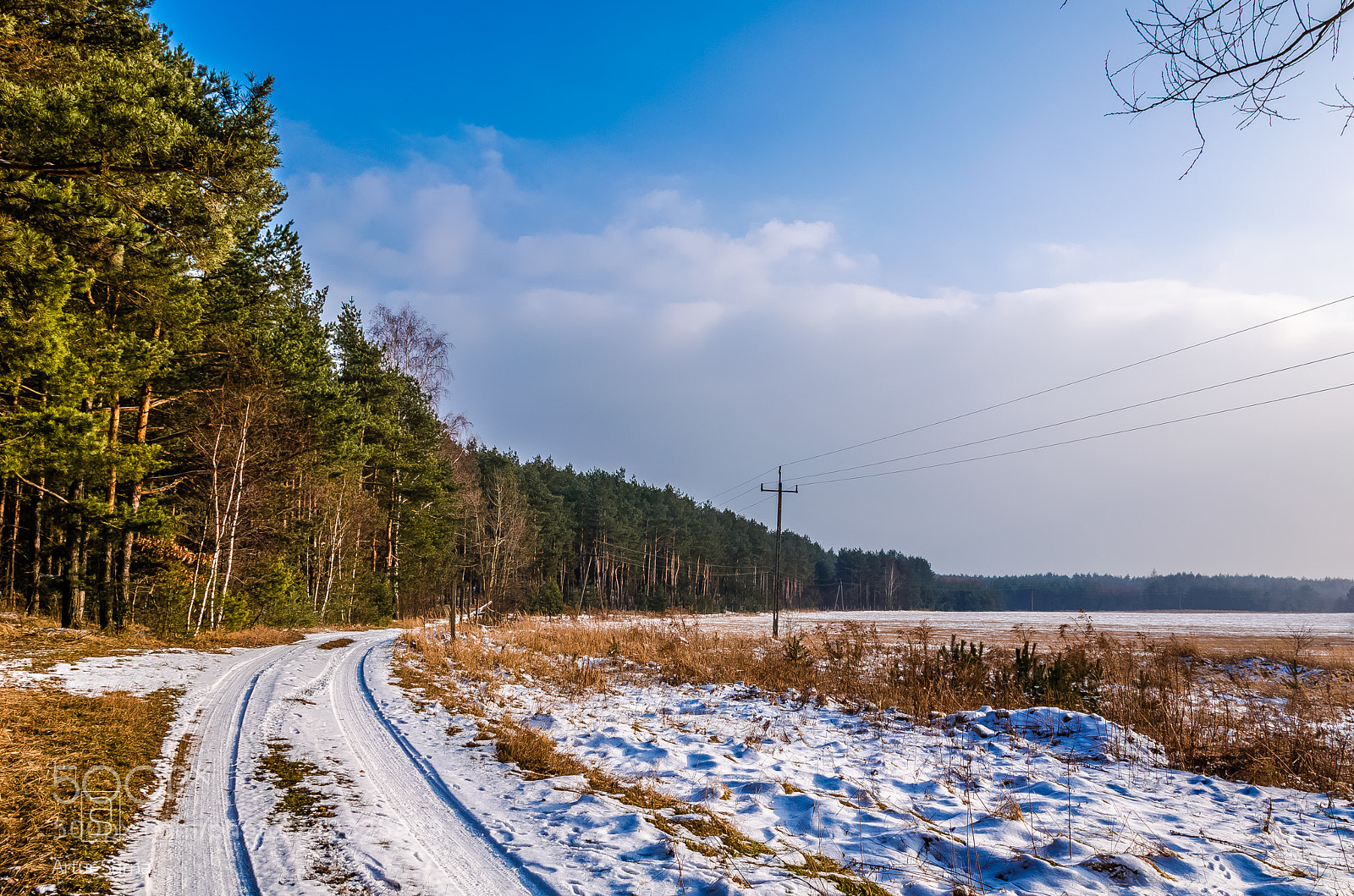 Nikon D5100 sample photo. Forest winter atmosphere. photography
