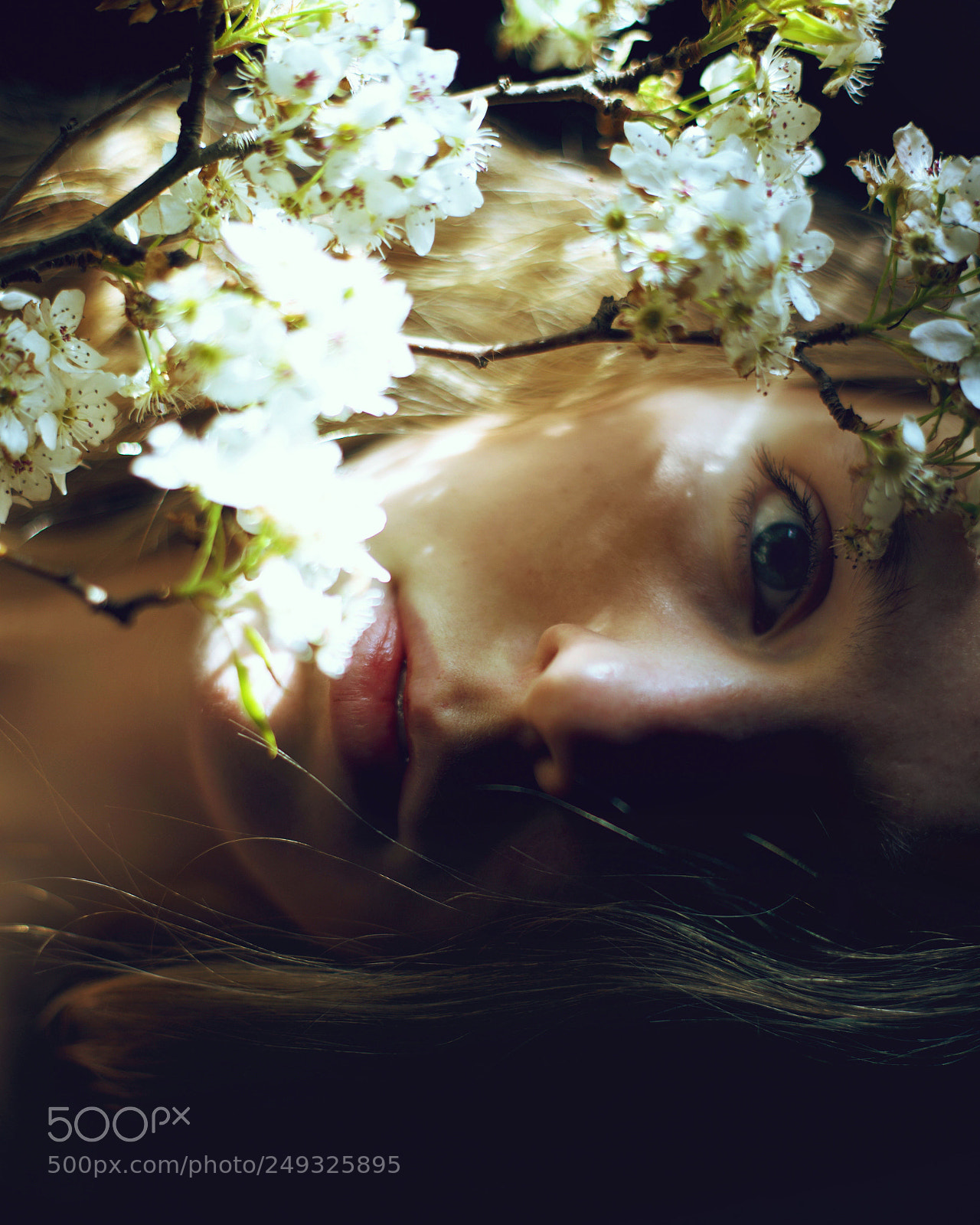 Nikon D600 sample photo. Spring flowers photography