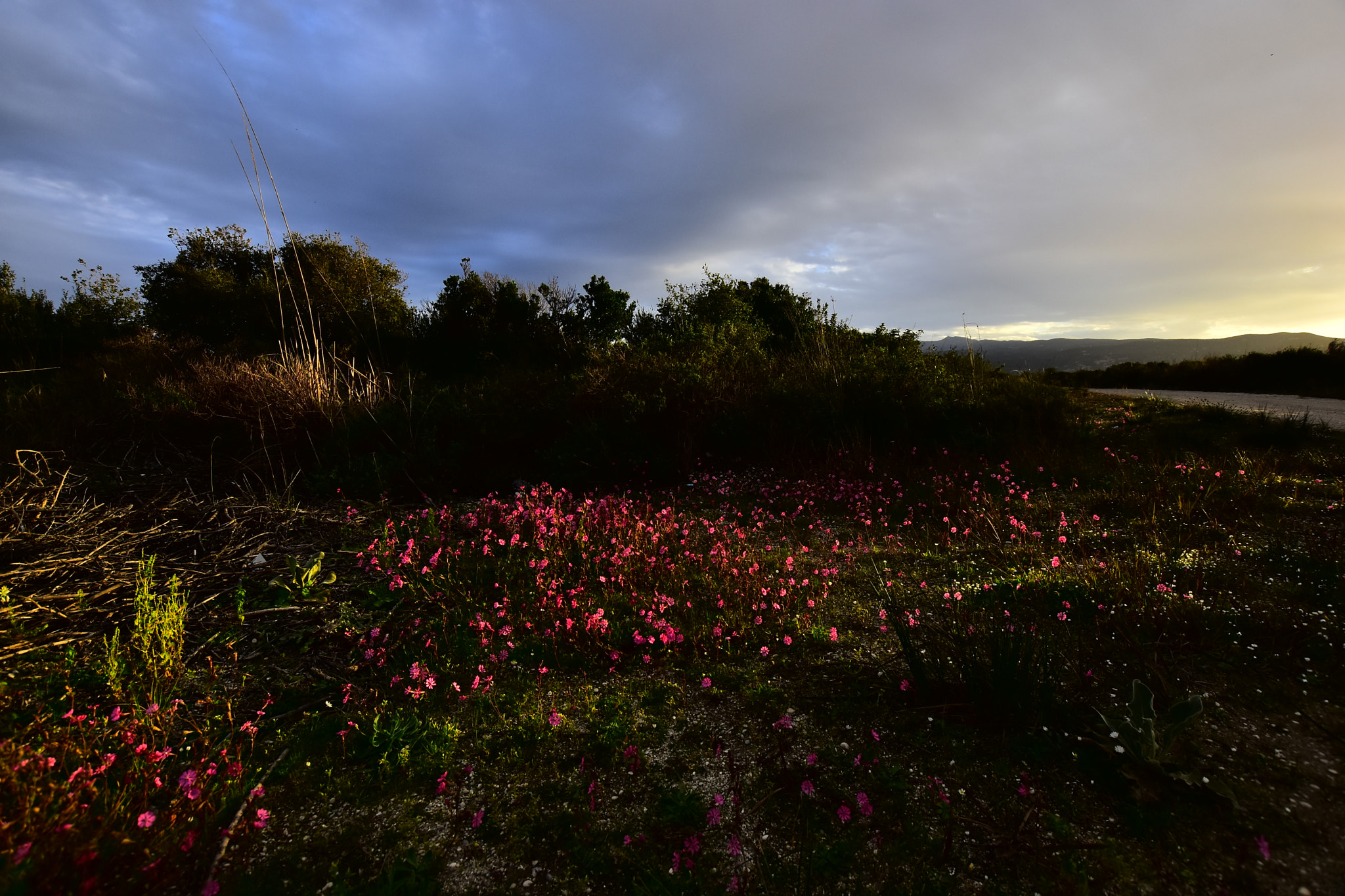 Nikon D7200 + Sigma 10-20mm F3.5 EX DC HSM sample photo. L53 photography