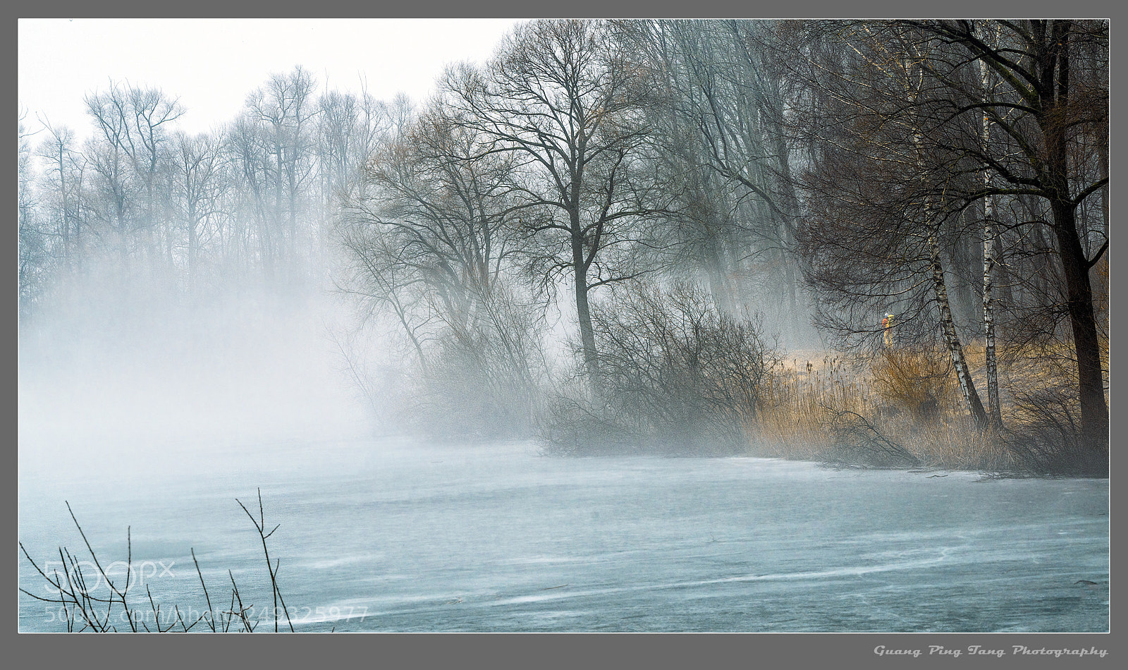 Nikon D800E sample photo. Early in the morning photography