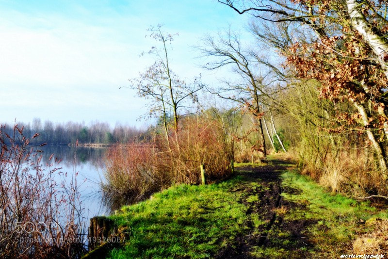 Nikon D3100 sample photo. Oisterwijkse vennen photography