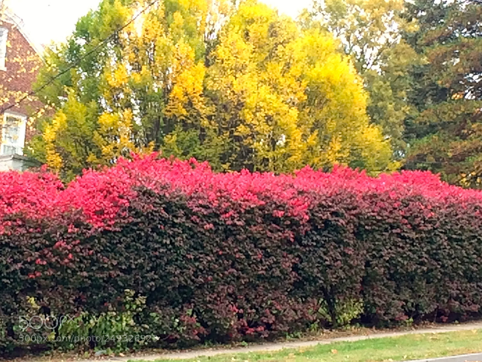 Apple iPhone 5s sample photo. Img photography