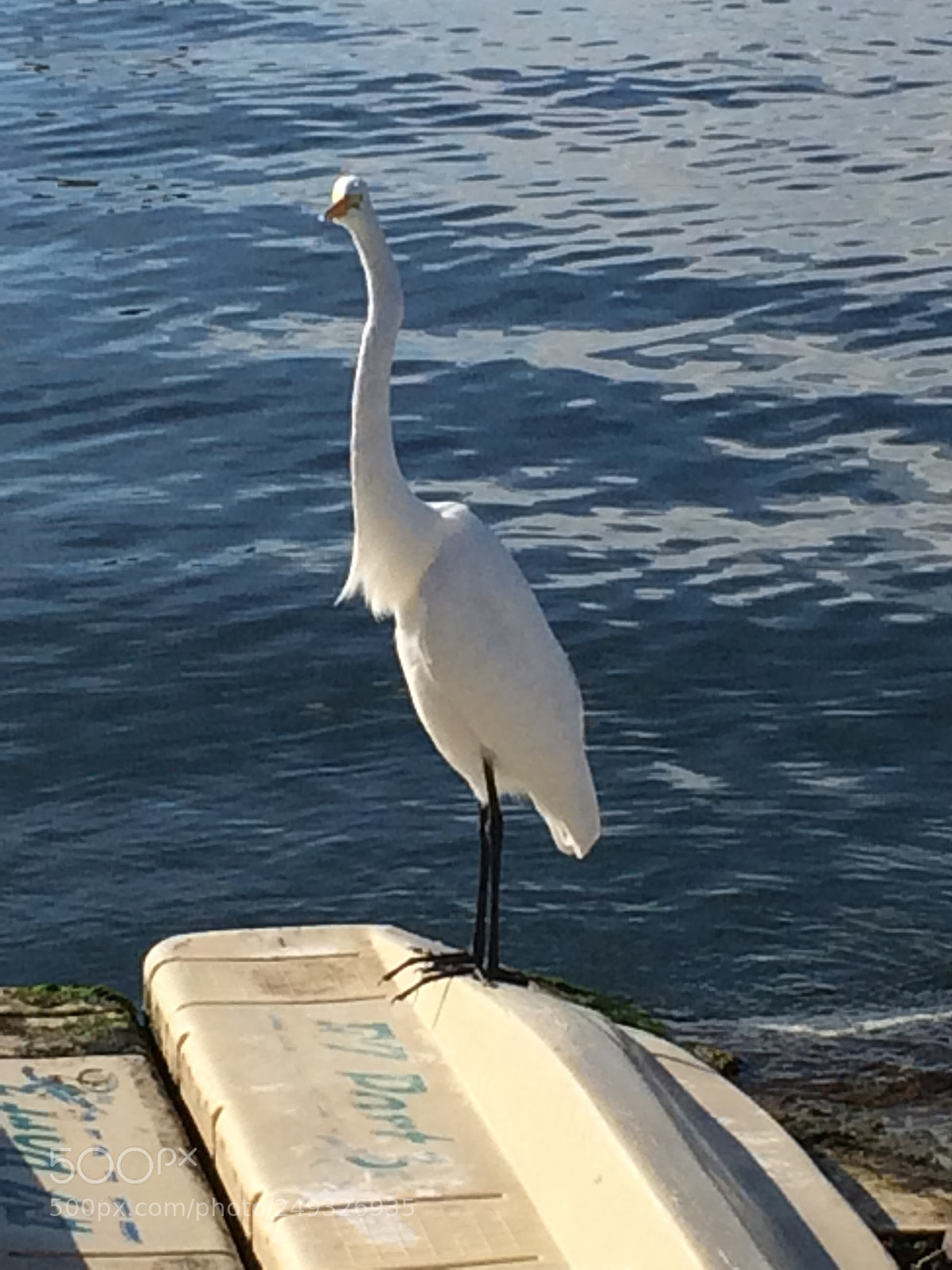 Apple iPhone 5s sample photo. Img photography