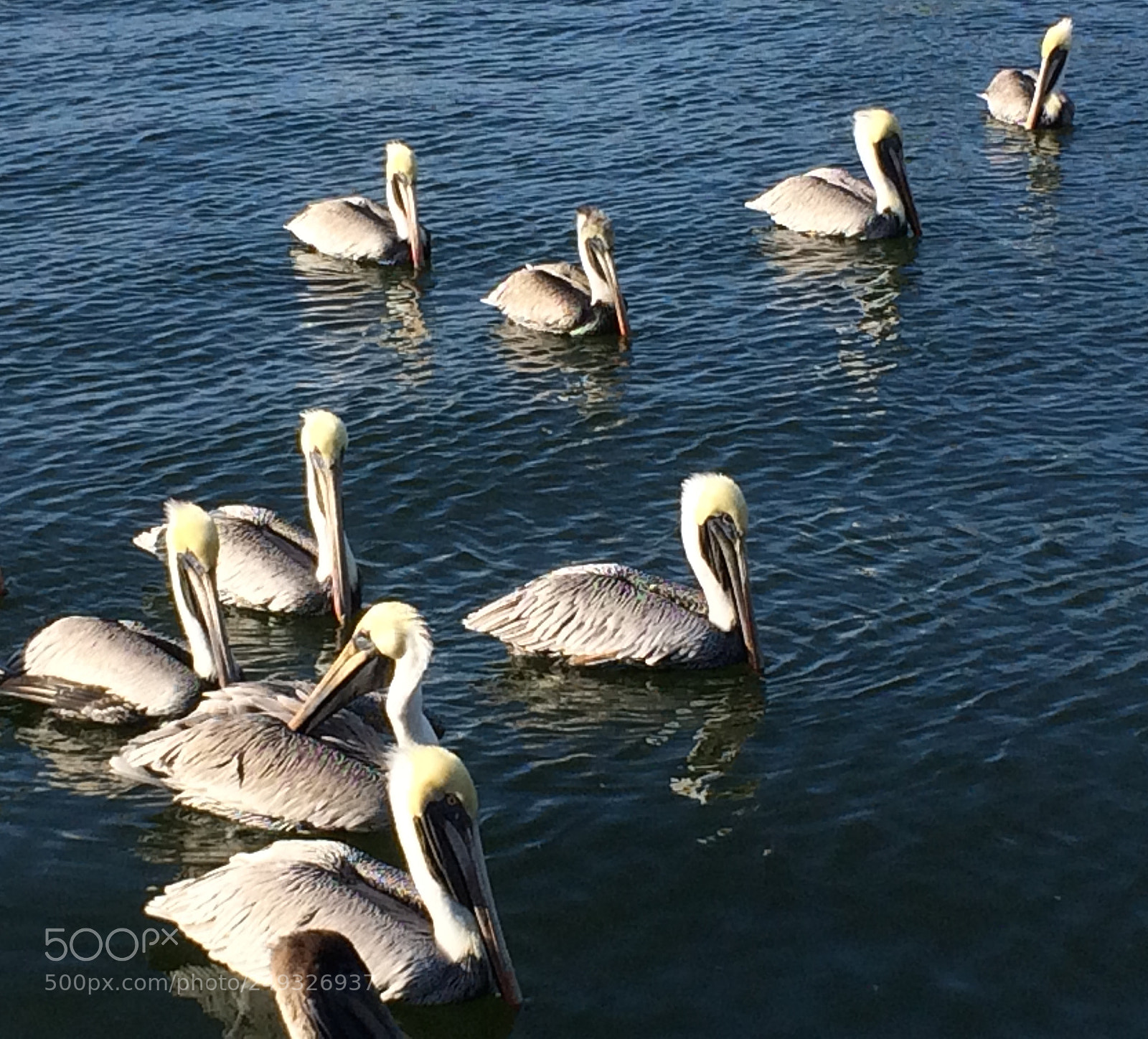 Apple iPhone 5s sample photo. Img photography