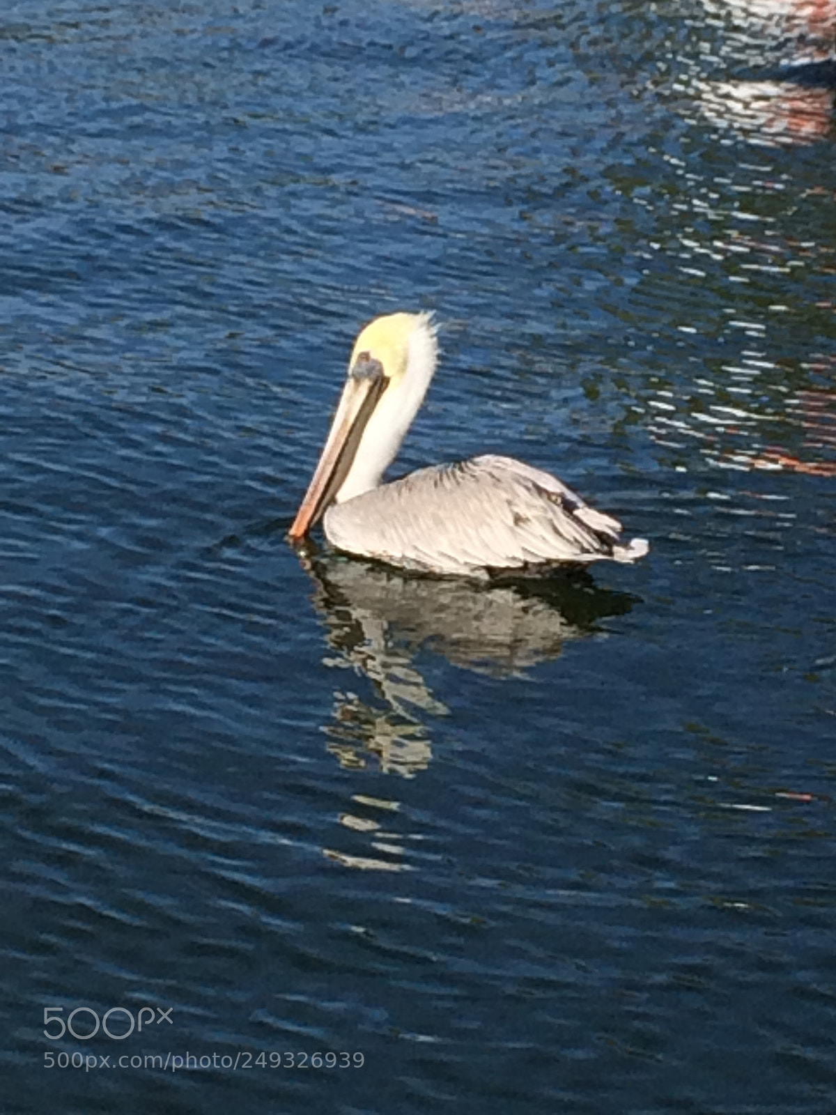 Apple iPhone 5s sample photo. Img photography