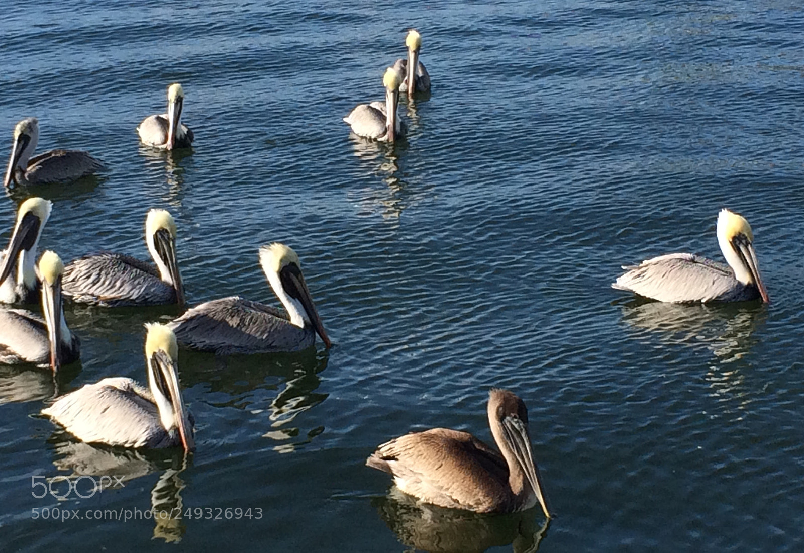 Apple iPhone 5s sample photo. Img photography