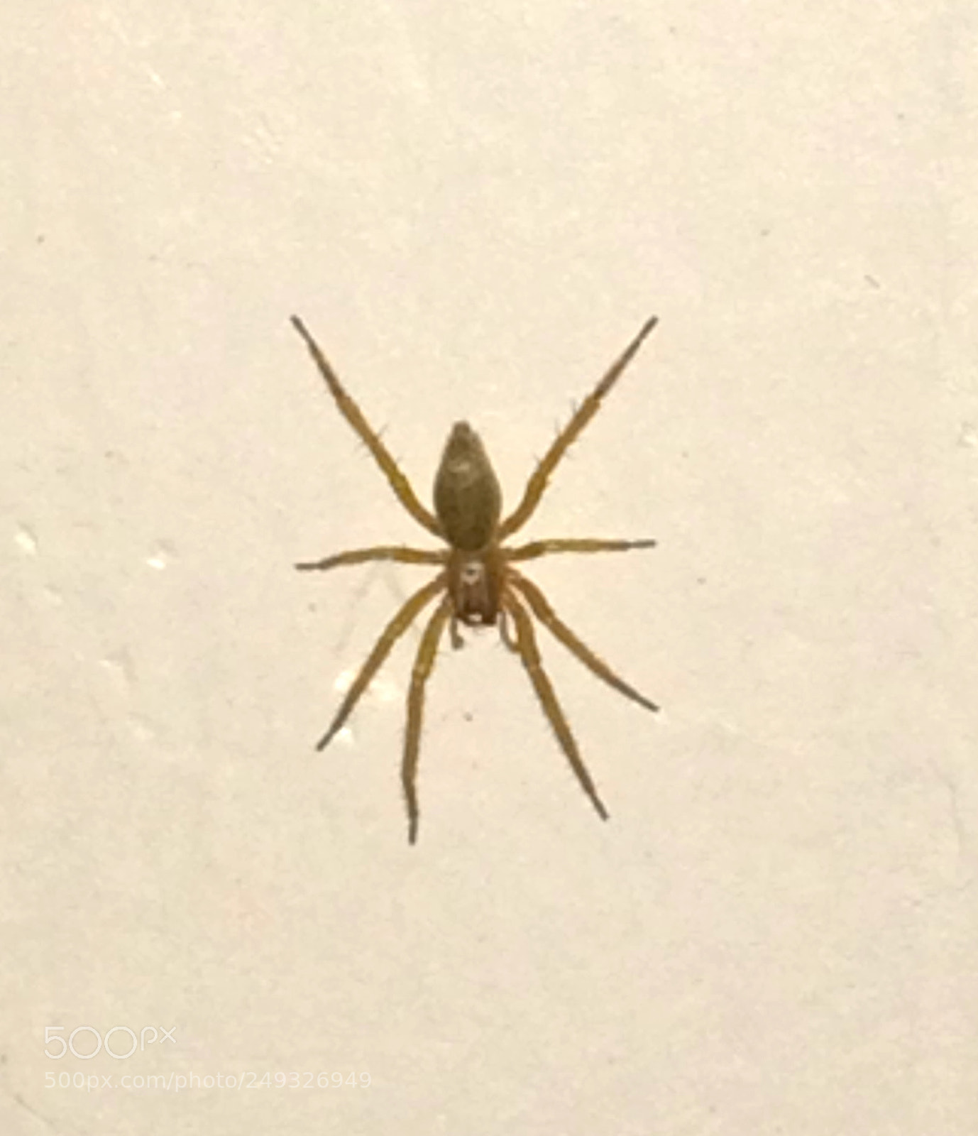 Apple iPhone 5s sample photo. Img photography