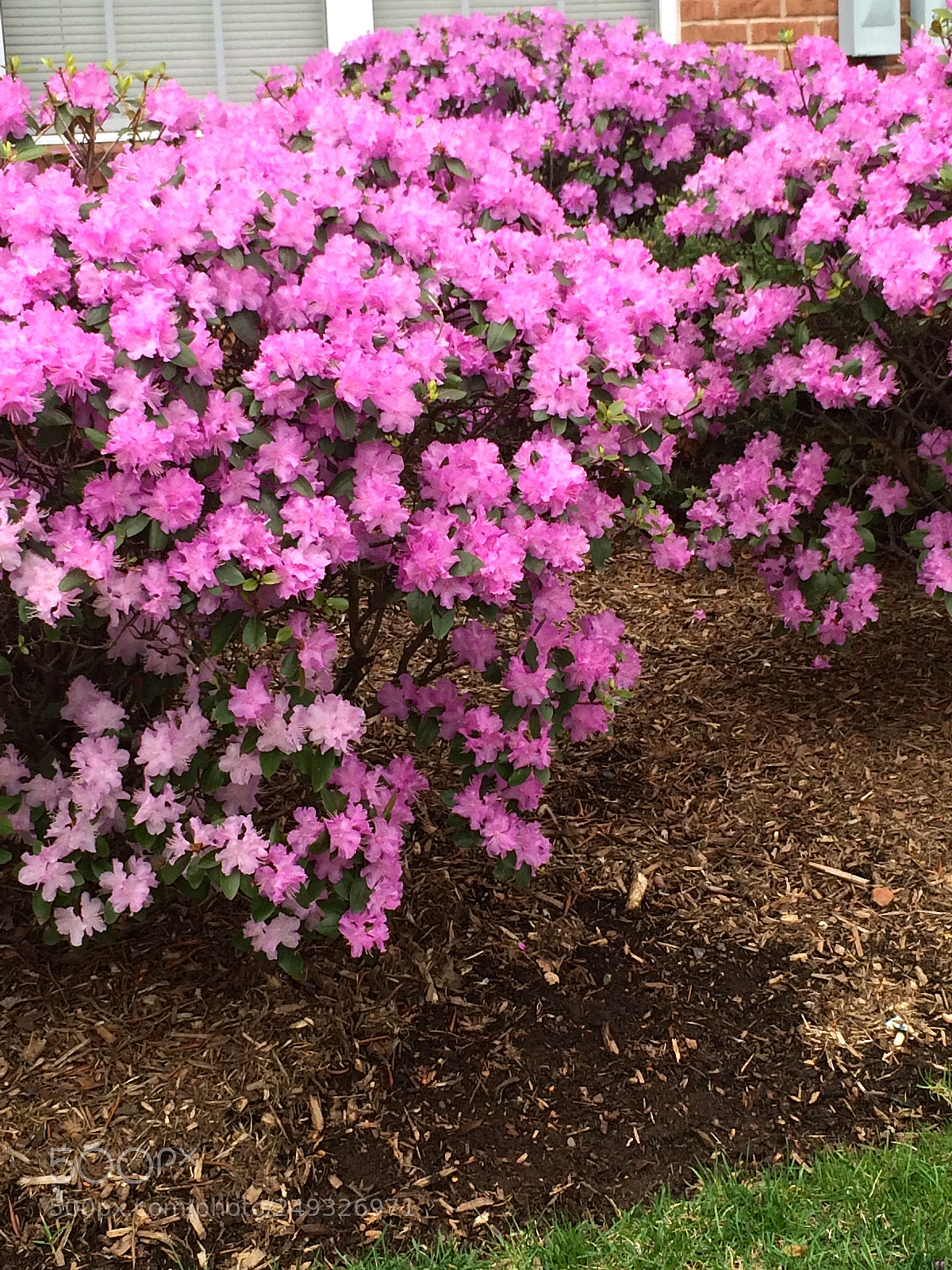 Apple iPhone 5s sample photo. Img photography