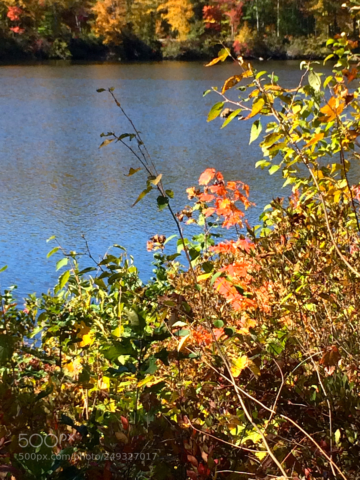 Apple iPhone 5s sample photo. Img photography