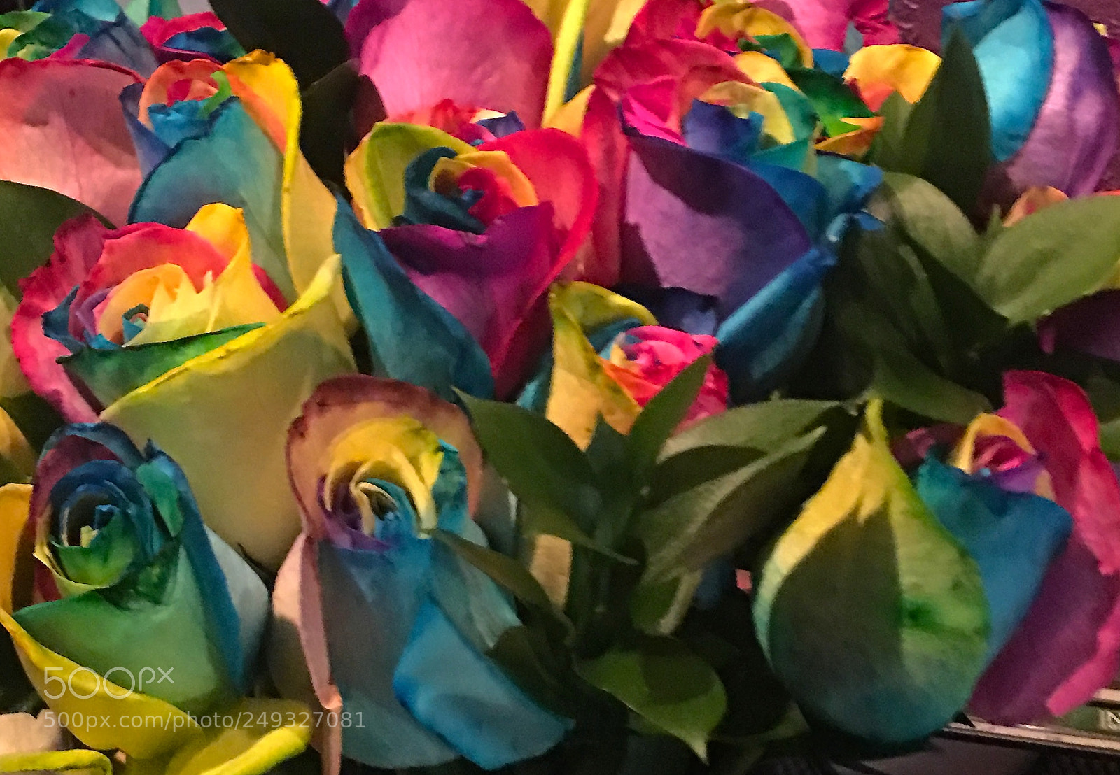 Apple iPhone 6s Plus sample photo. Img photography