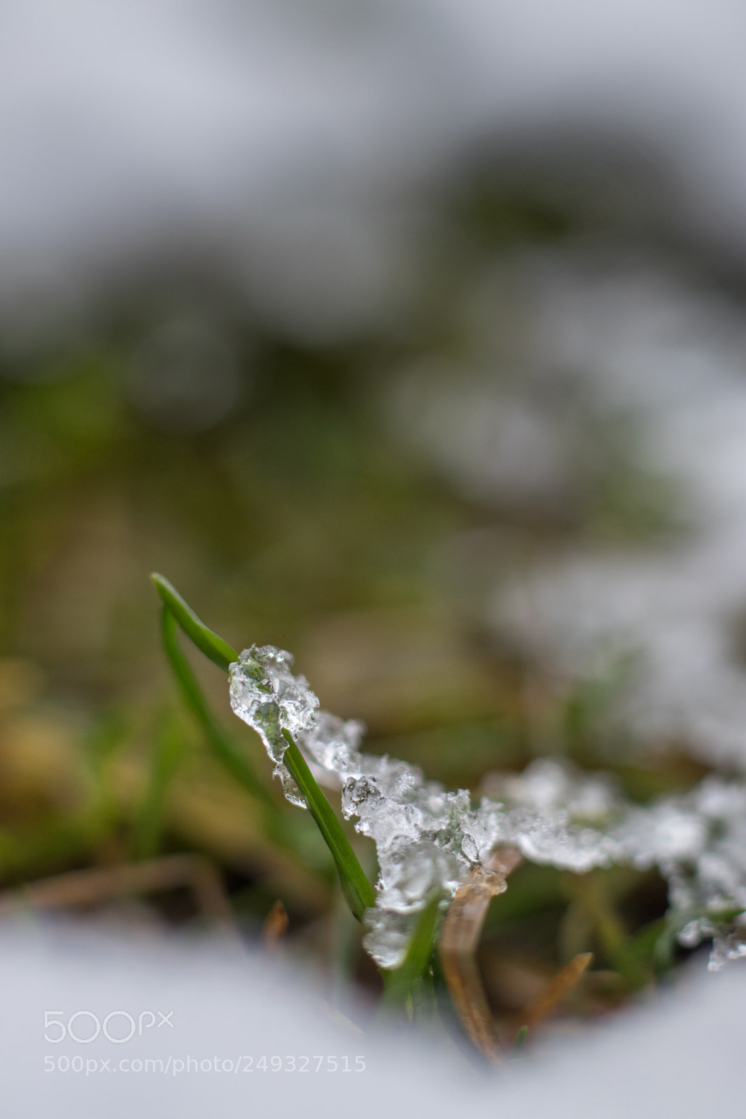 Canon EOS 80D sample photo. 018.jpg photography