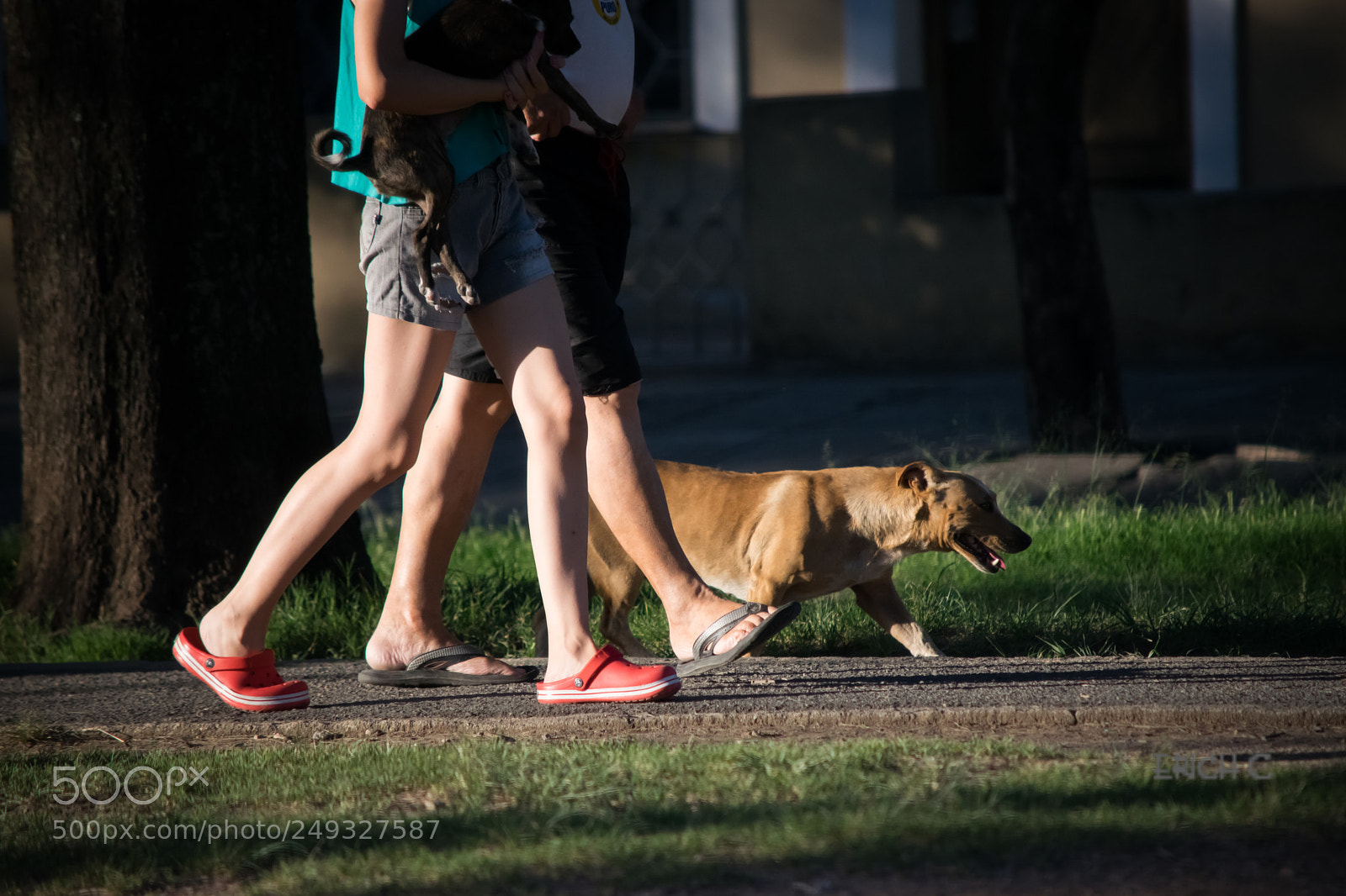 Nikon D5300 sample photo. Caminandito photography