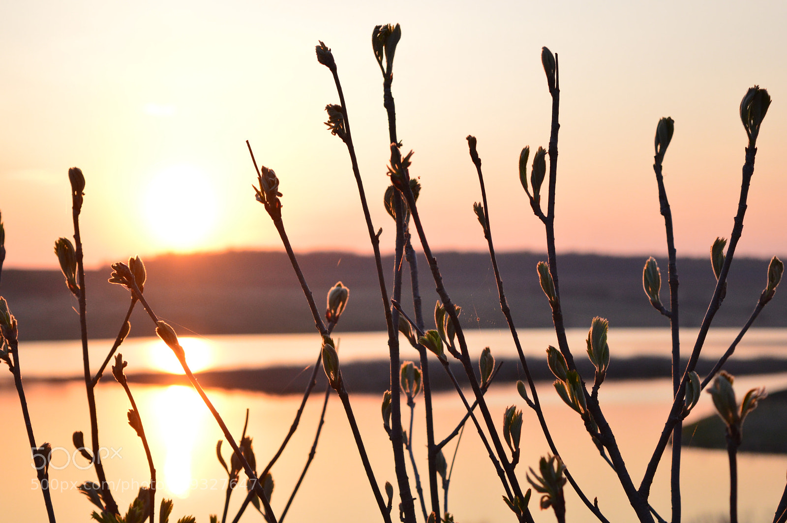 Nikon D3200 sample photo. Summer sunset photography