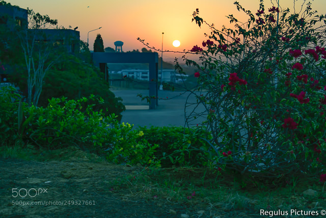 Nikon D5300 sample photo. Sunrise photography