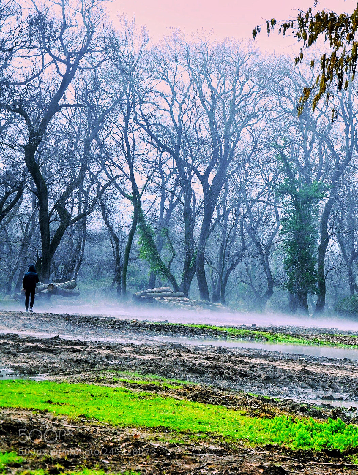 Nikon D90 sample photo. Untitled photography