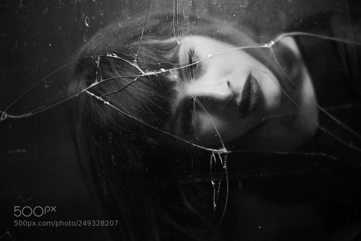 Nikon D800 sample photo. Fragility photography