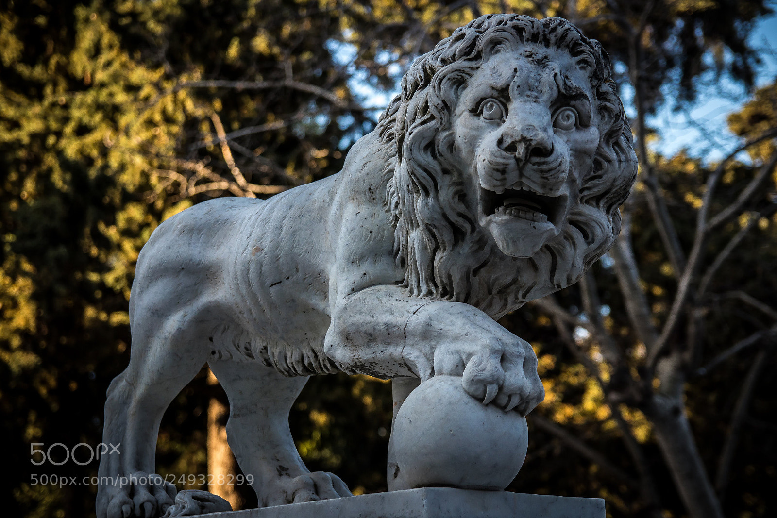 Canon EOS 80D sample photo. Lion king photography