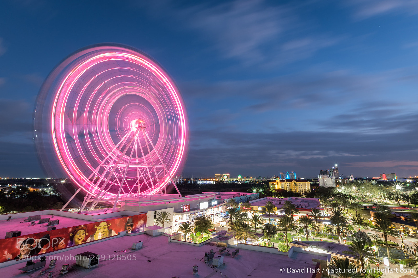 Nikon D500 sample photo. Ferris wheel photography