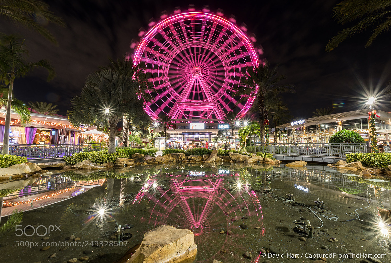 Nikon D500 sample photo. Ferris wheel reflections photography