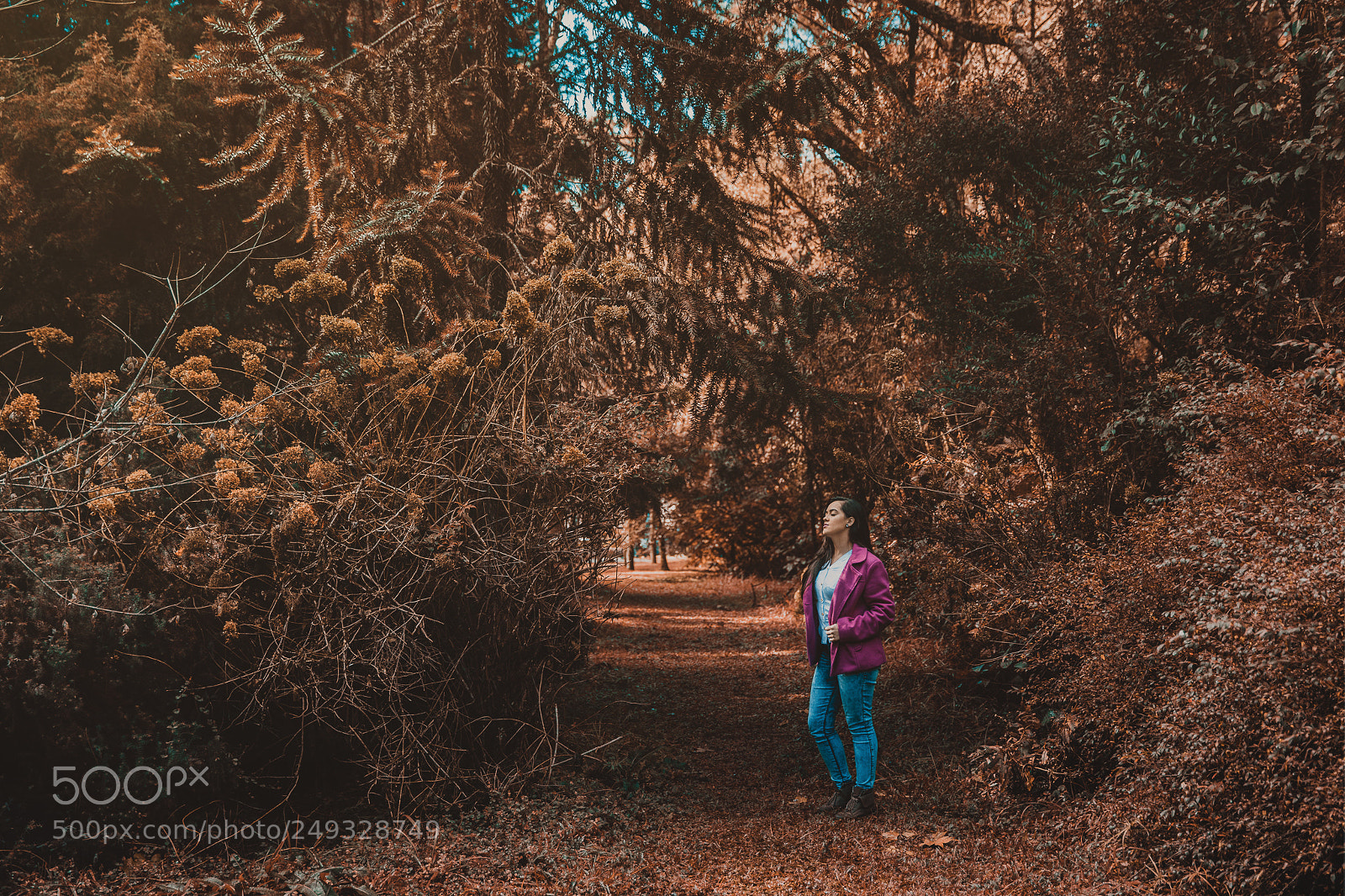 Canon EOS 5D Mark IV sample photo. Ensaio photography