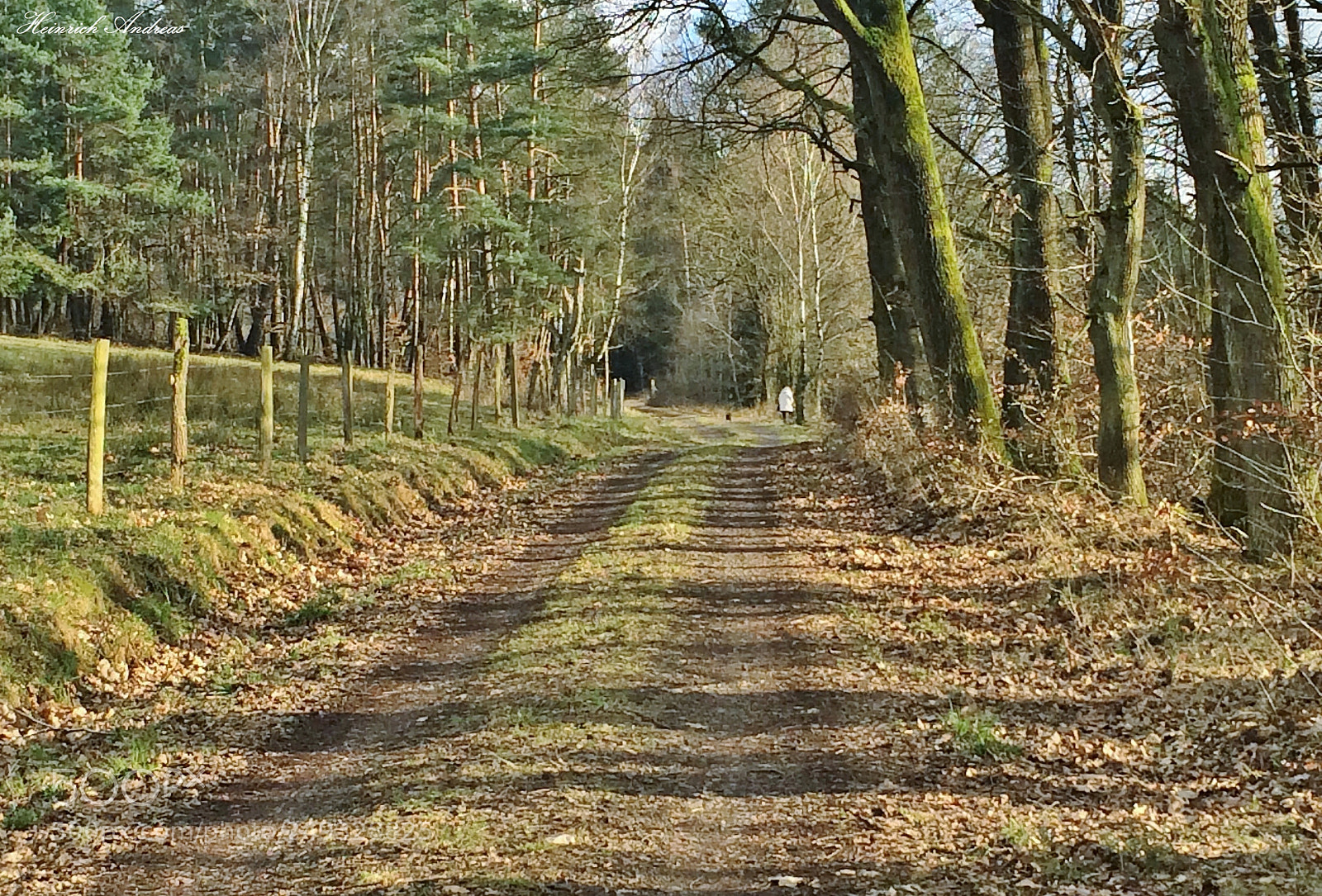 Apple iPhone 5s sample photo. Wanderweg photography