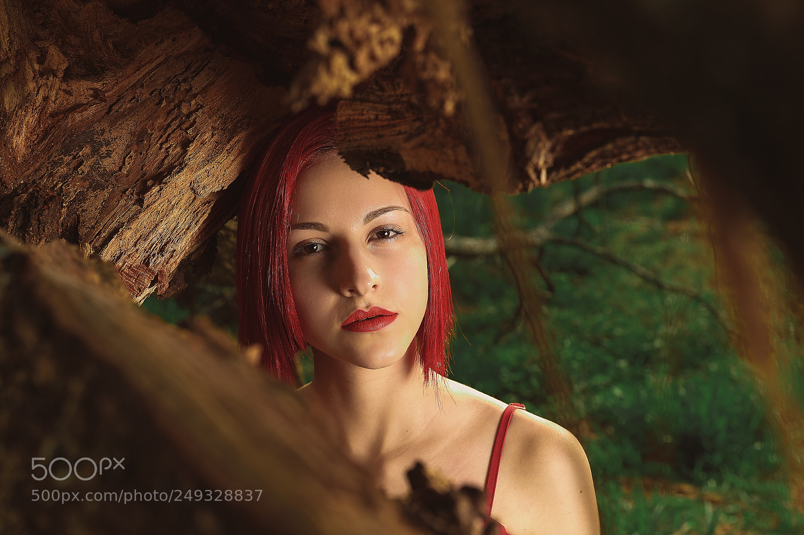 Canon EOS 5D Mark IV sample photo. Ensaio photography