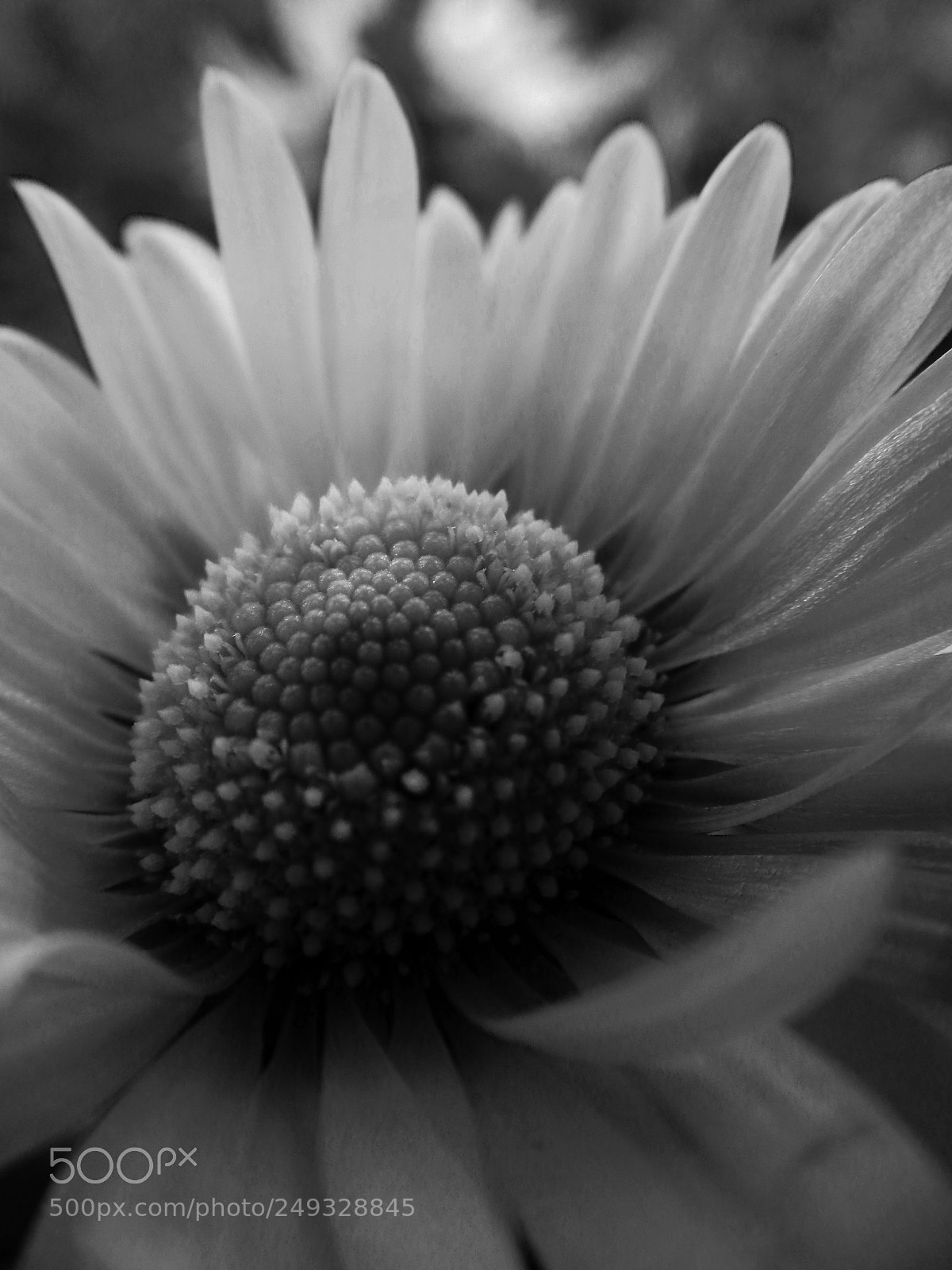 Nikon Coolpix S9900 sample photo. Untitled photography