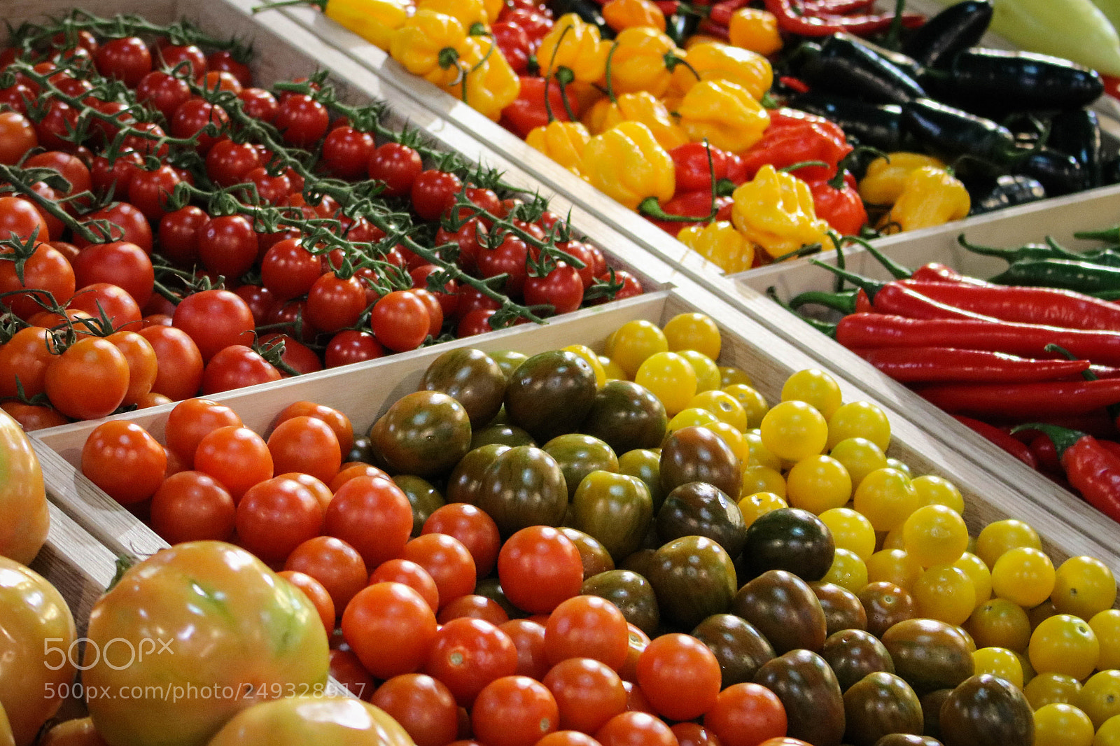Canon EOS 750D (EOS Rebel T6i / EOS Kiss X8i) sample photo. Tomato photography