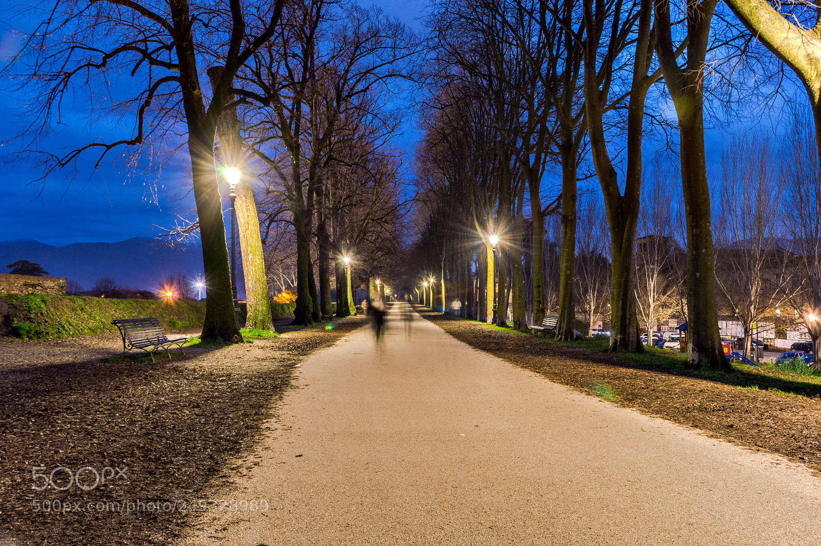Nikon D3200 sample photo. The walls of lucca photography