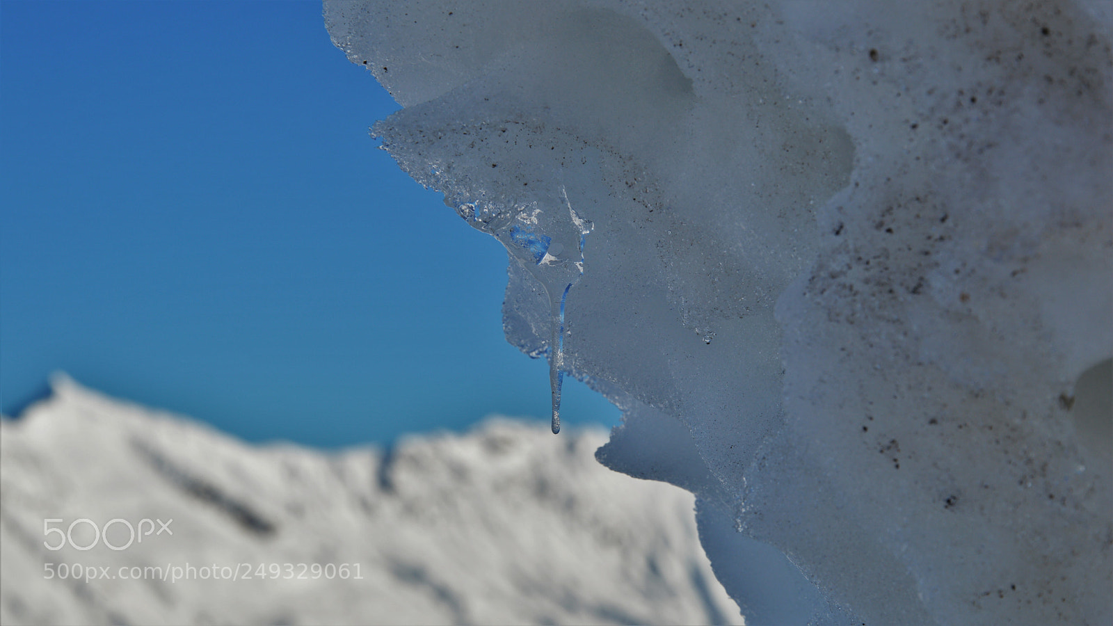 Nikon D3200 sample photo. Untitled photography