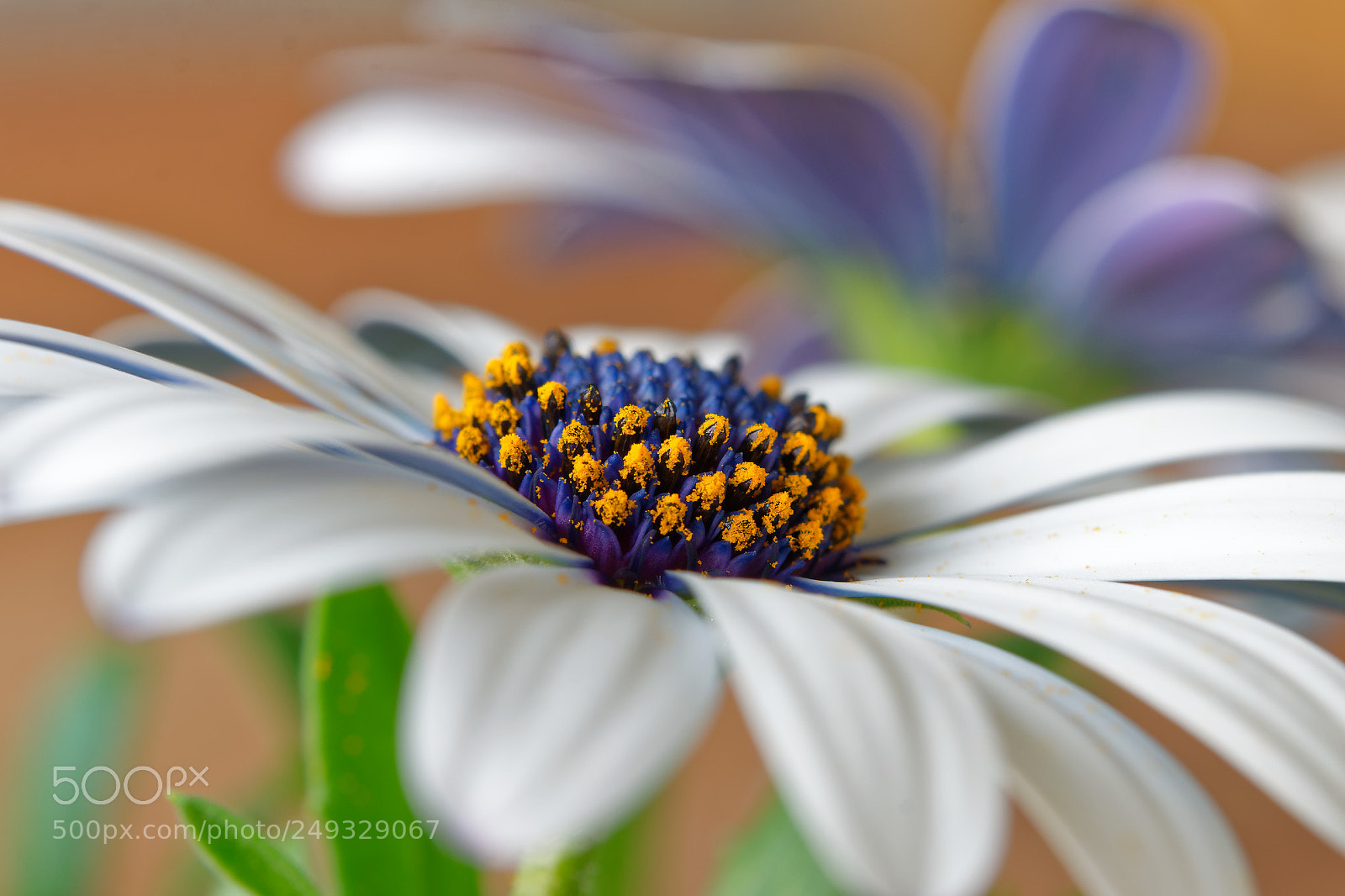 Nikon D3300 sample photo. Find what makes you photography
