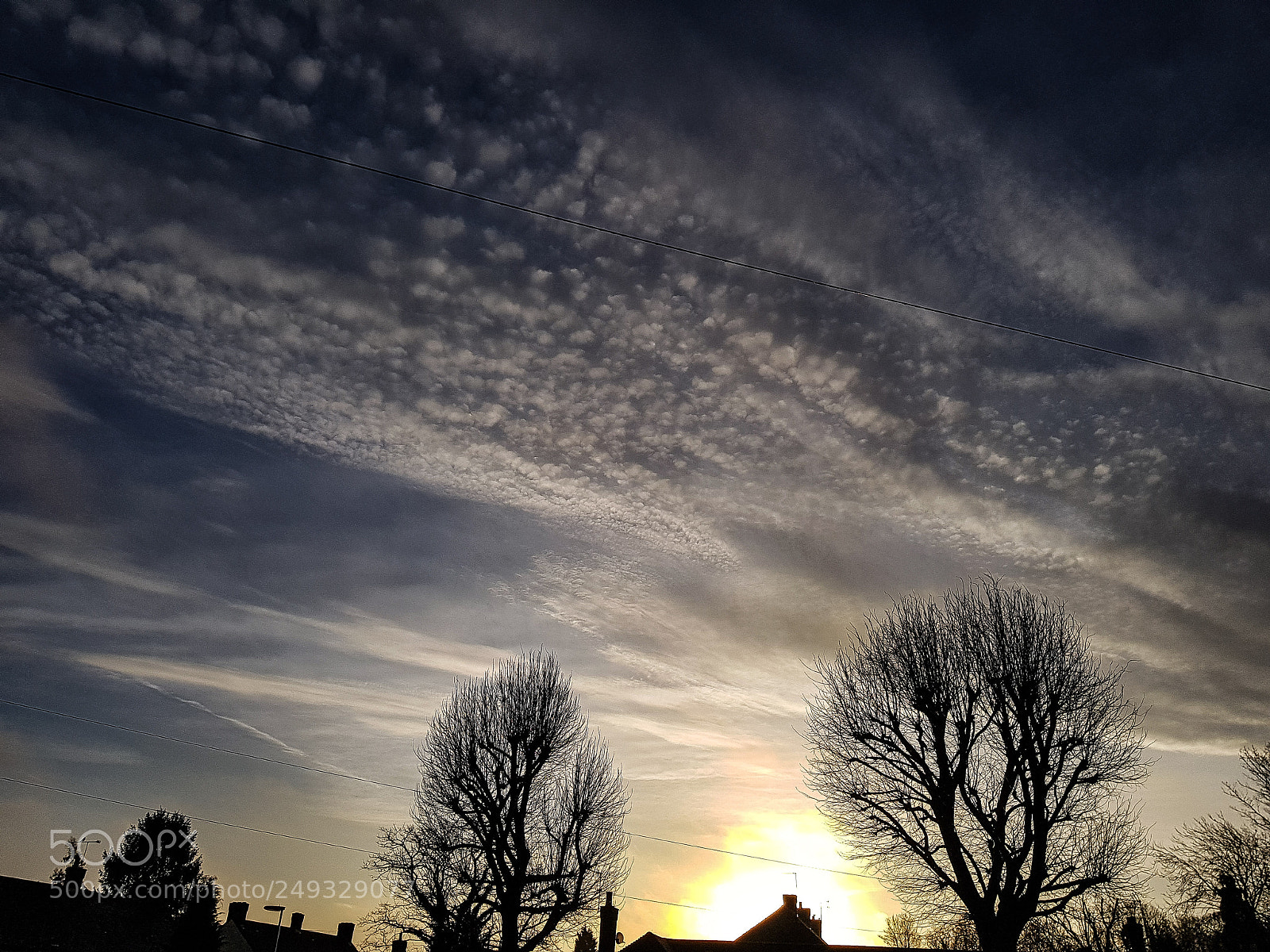 Samsung Galaxy S8+ sample photo. Untitled photography