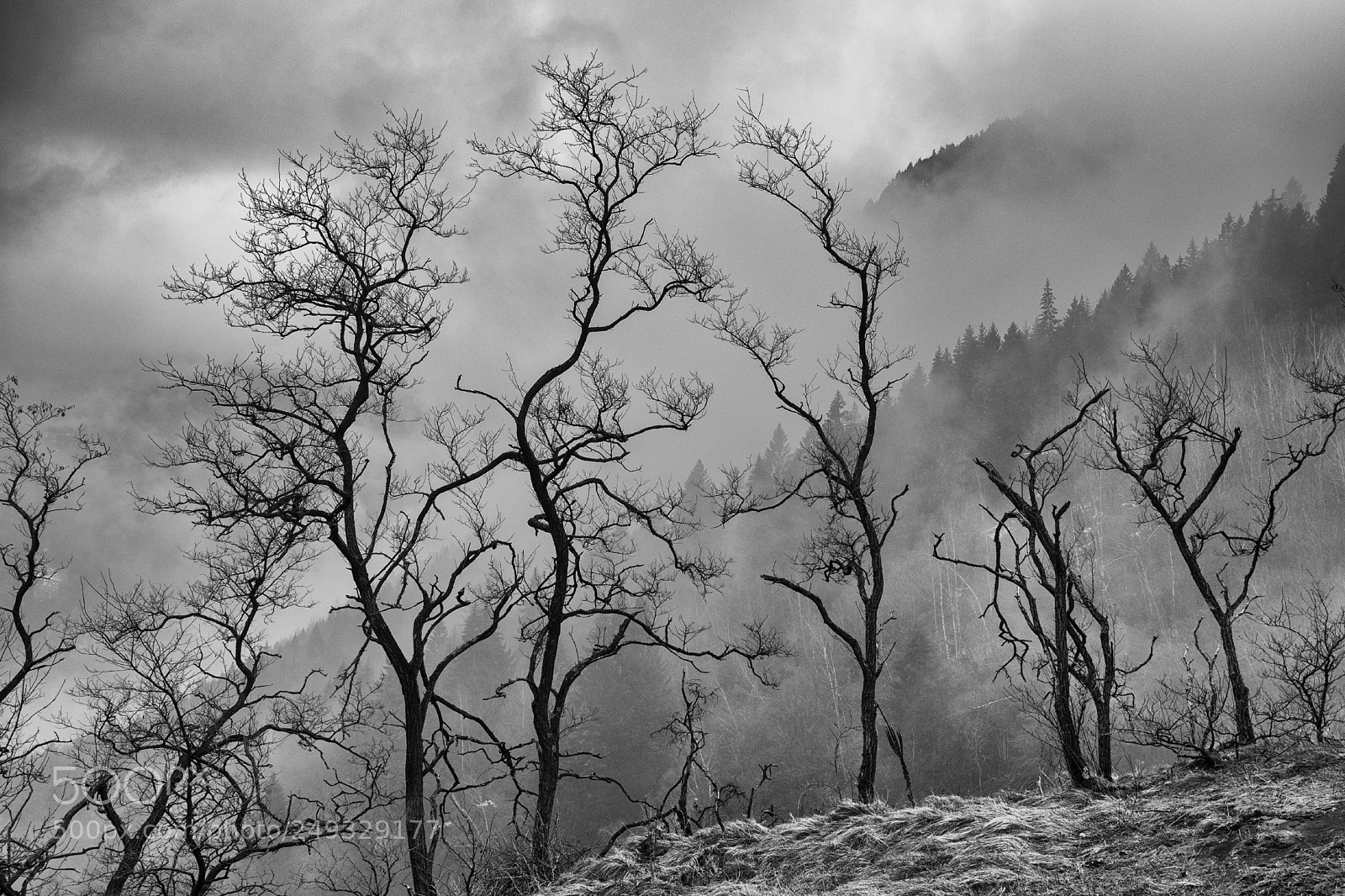 Nikon D7200 sample photo. It's still winter ancora photography