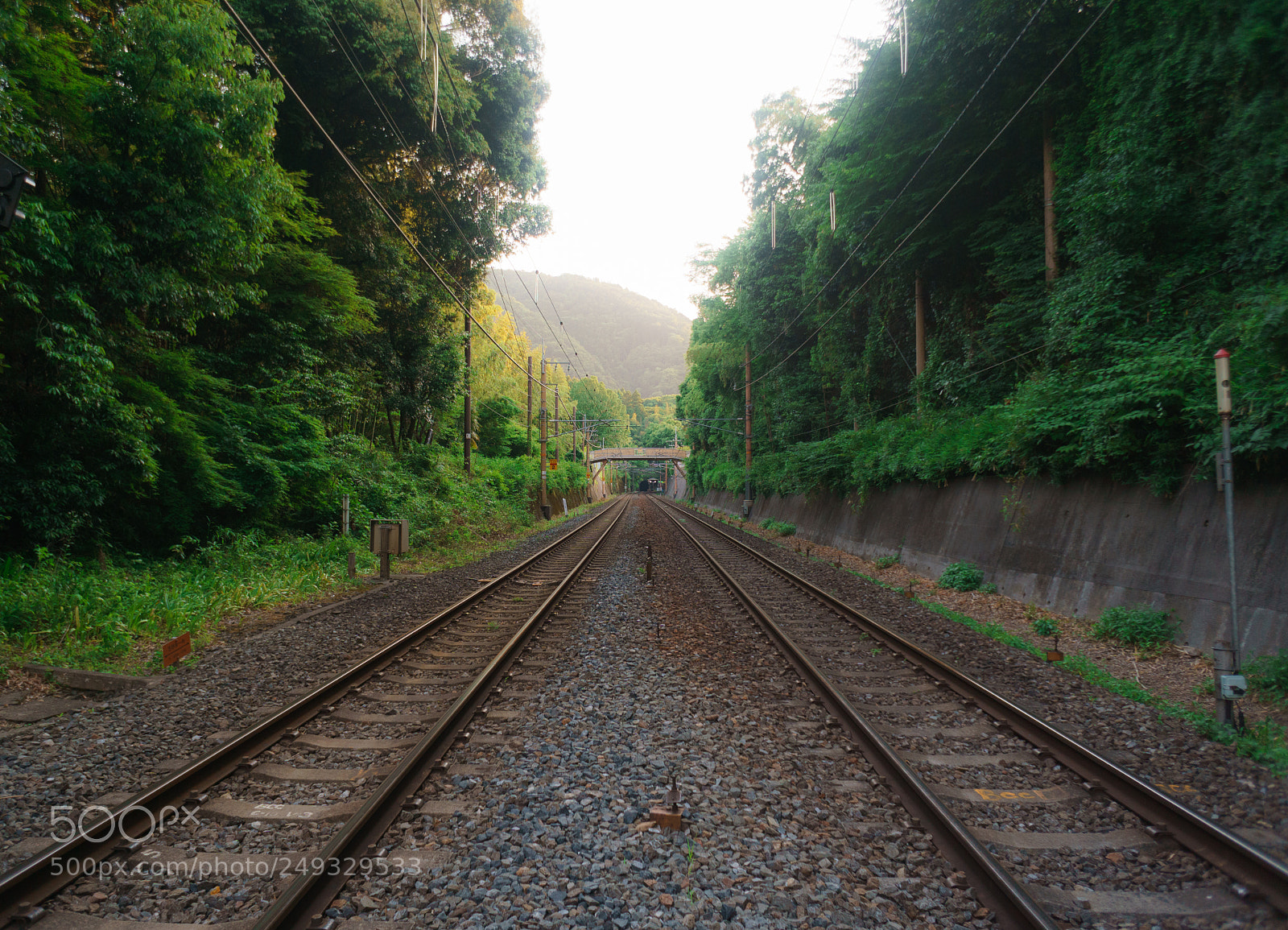 Sony a6000 sample photo. Railroad green photography
