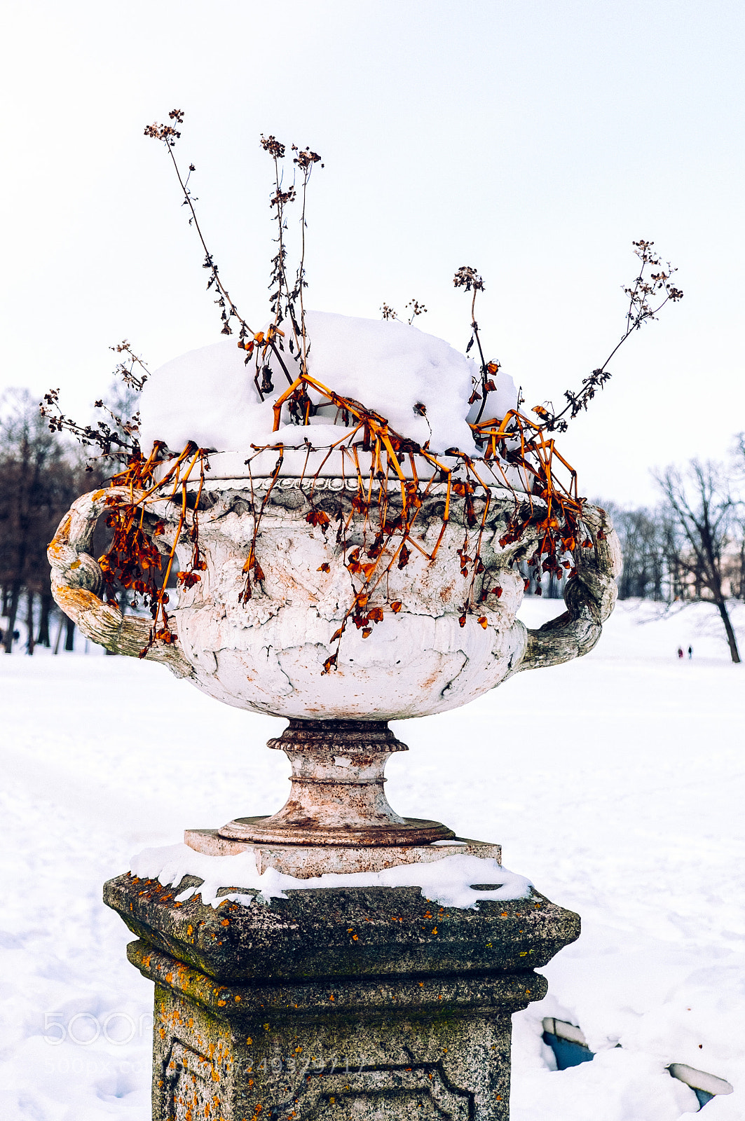 Fujifilm X-T1 sample photo. Frozen photography