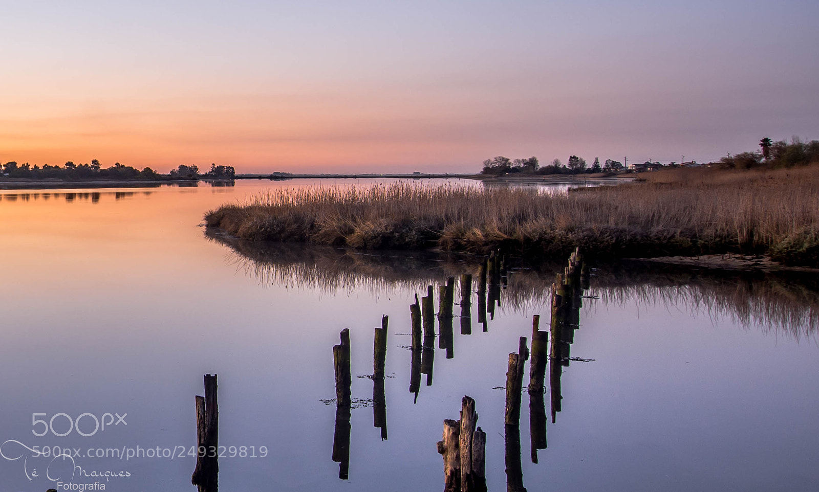 Nikon D7200 sample photo. Quietness at dawn photography