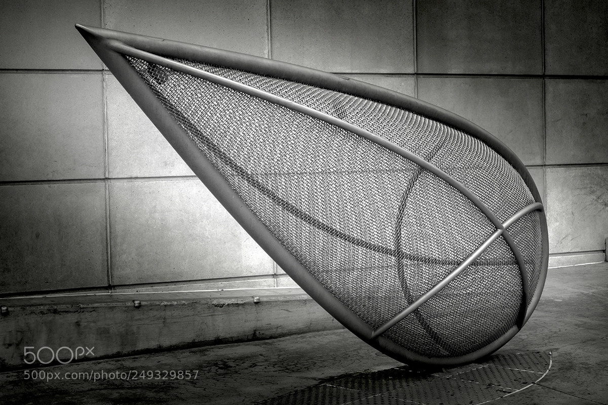 Sony Cyber-shot DSC-RX100 IV sample photo. Mesh orb web photography