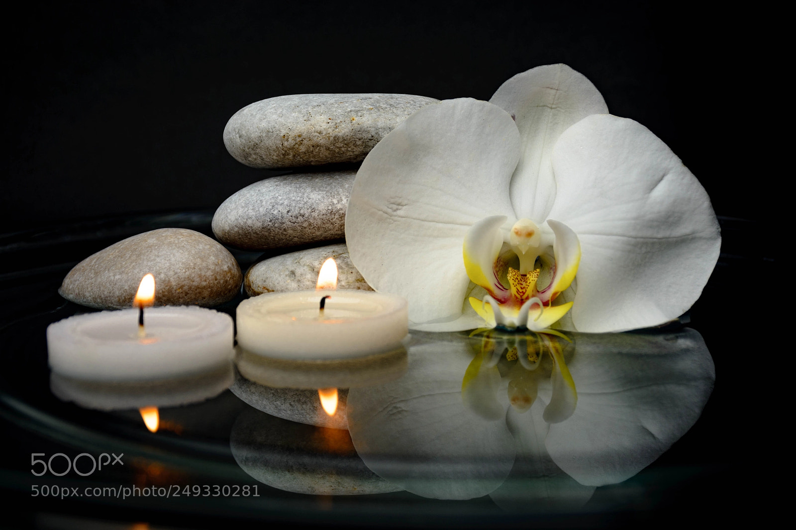 Nikon D7100 sample photo. Black photography