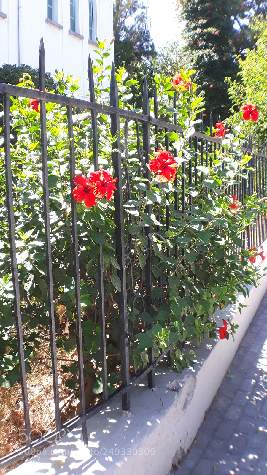 Samsung Galaxy S5 Neo sample photo. 20170902_124522.jpg photography